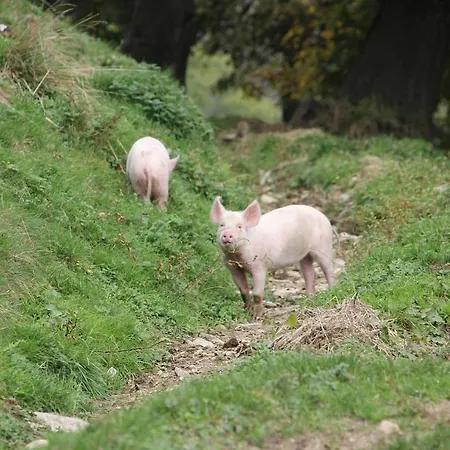 Sunside * 齐勒河谷采尔